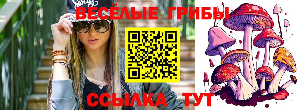 Псилоцибиновые грибы Cubensis  Галлюциногенные грибы Psilocybe  Шали  Вход с VPN 